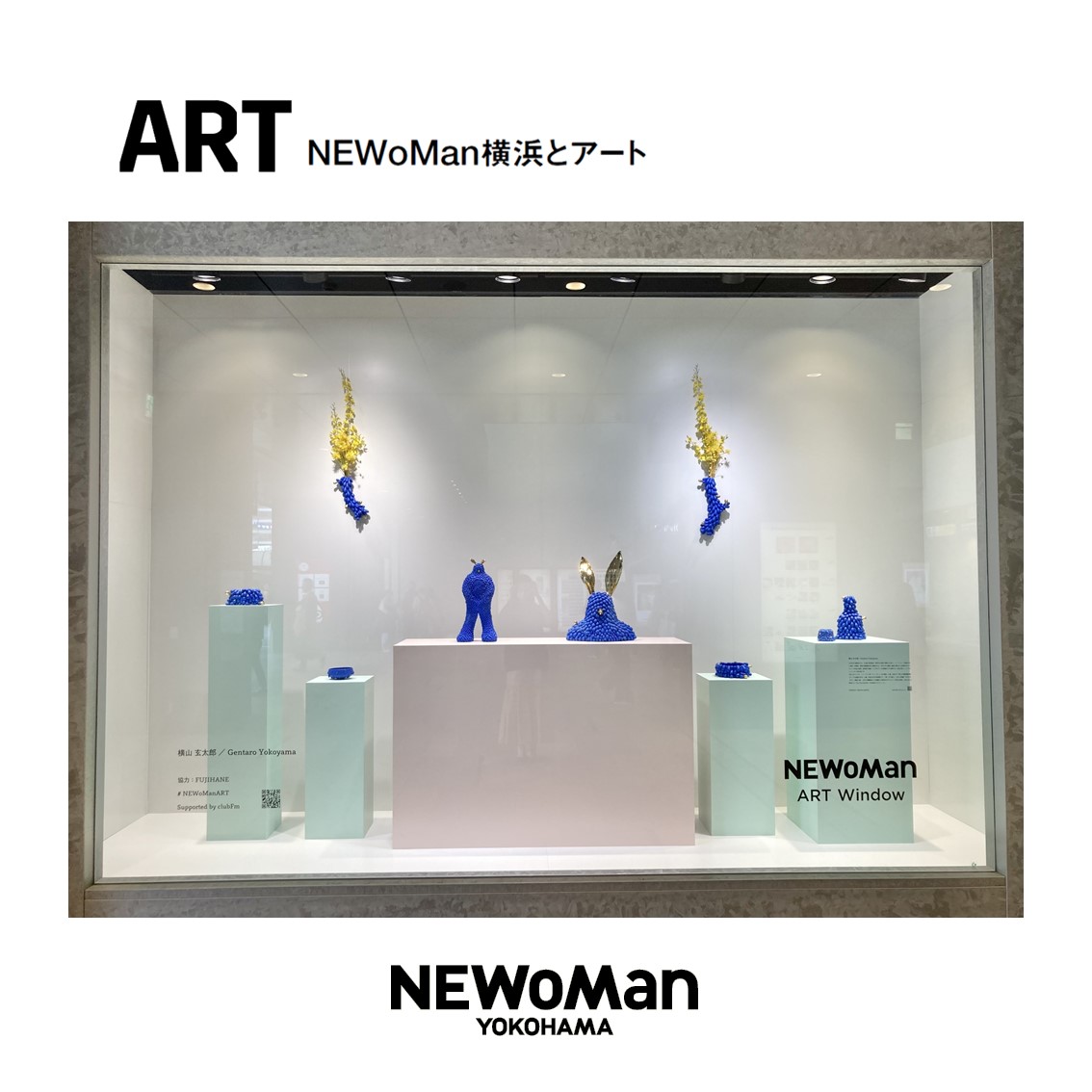 ART Window 2月20日（火）より横山玄太郎氏の展示がスタート！