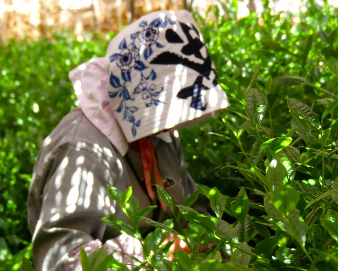 ROYAL BLUE TEA Takanawa Boutique