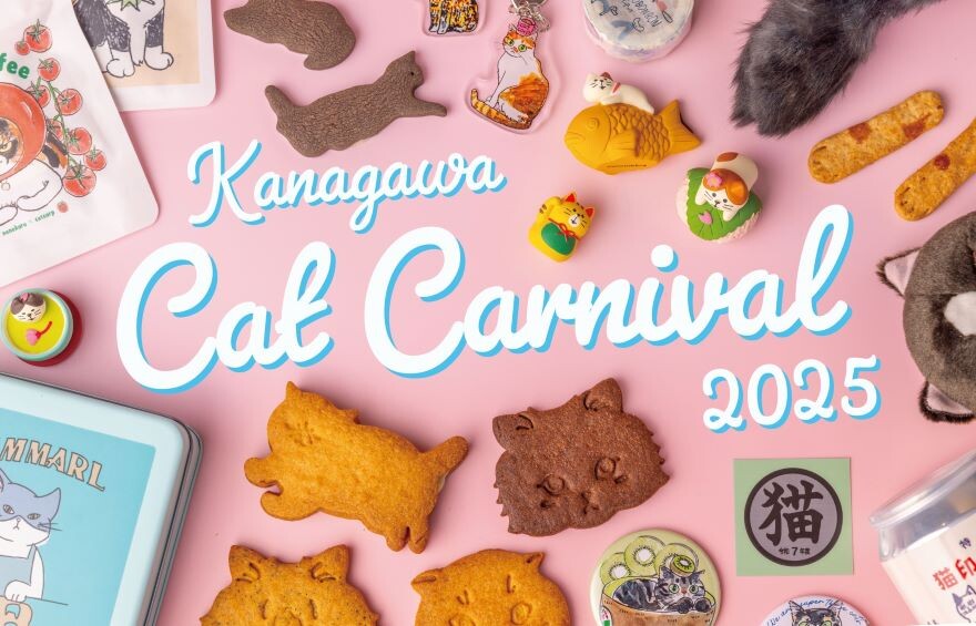 最適な材料 カナガワキャットカーニバル2025 ショップニュース NEWoMan ニュウマン横浜 スツール