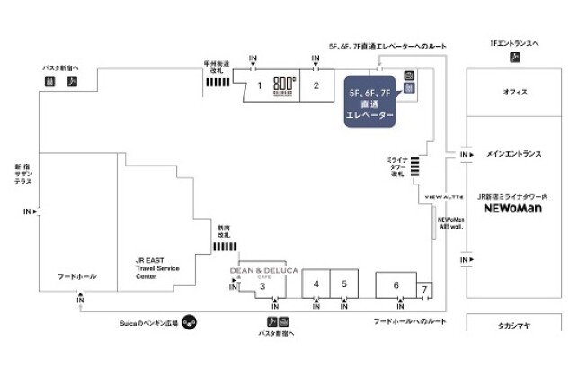 エキソト