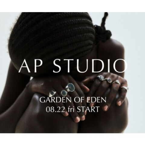 AP STUDIO
