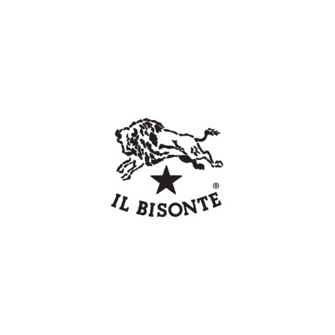 IL BISONTE