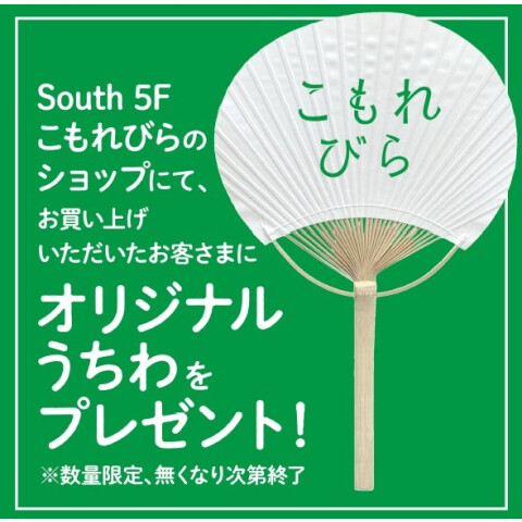 こもれびら