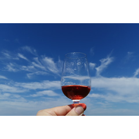 La Vinotheque