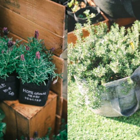 AGRIKO×MIMURE　BOTANICAL Lab
