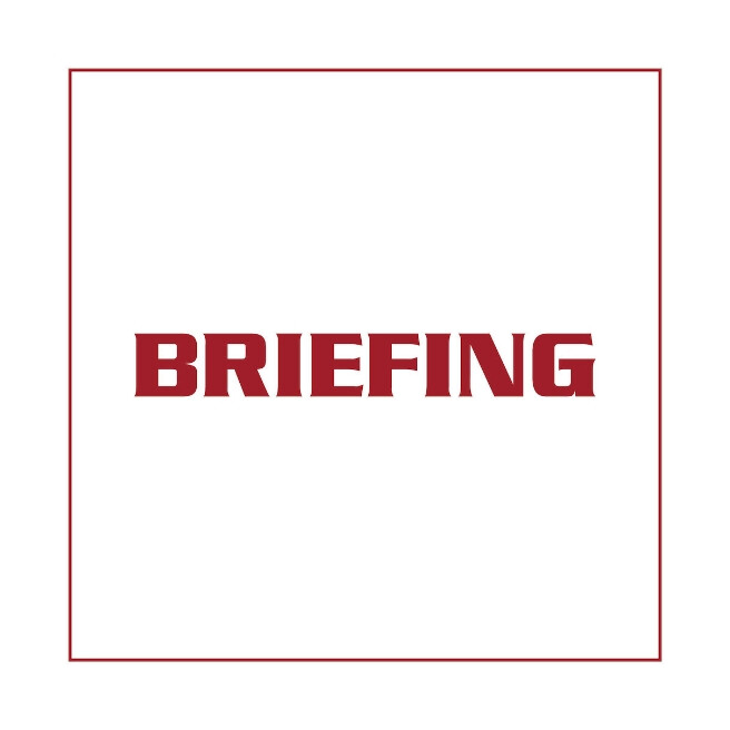 BRIEFING