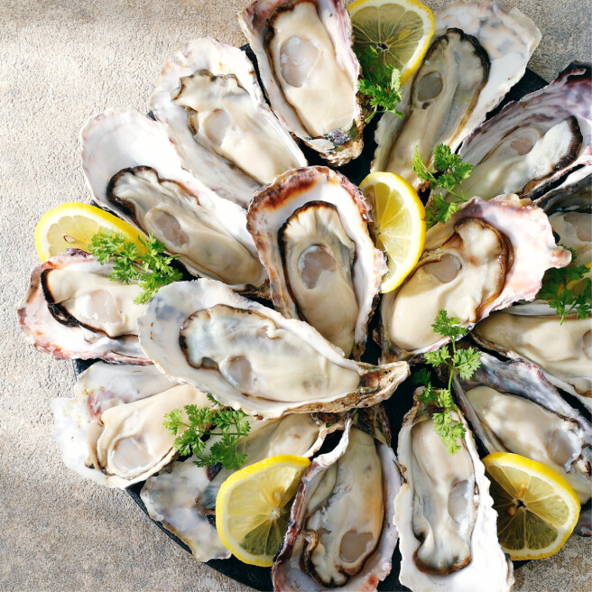 L’ECAILLER　8th SEA OYSTER