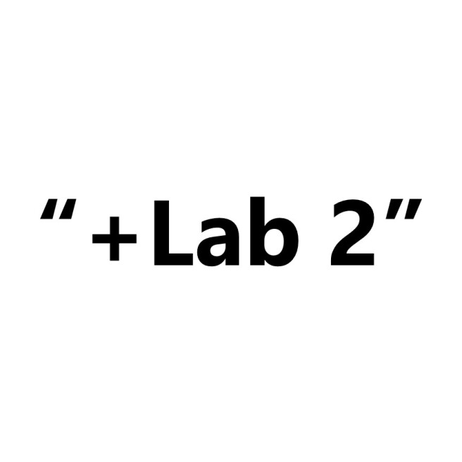 "+Lab 2"