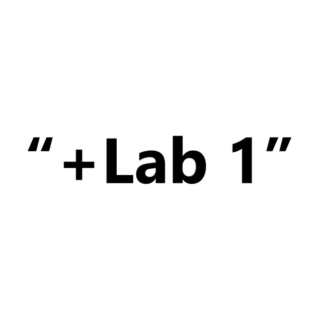 "+Lab 1"