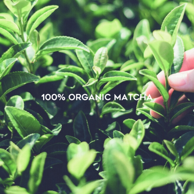 THE MATCHA TOKYO 