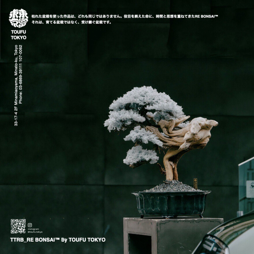 季節を越えて、色彩を楽しむ RE BONSAI