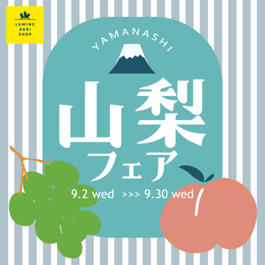 山梨フェア