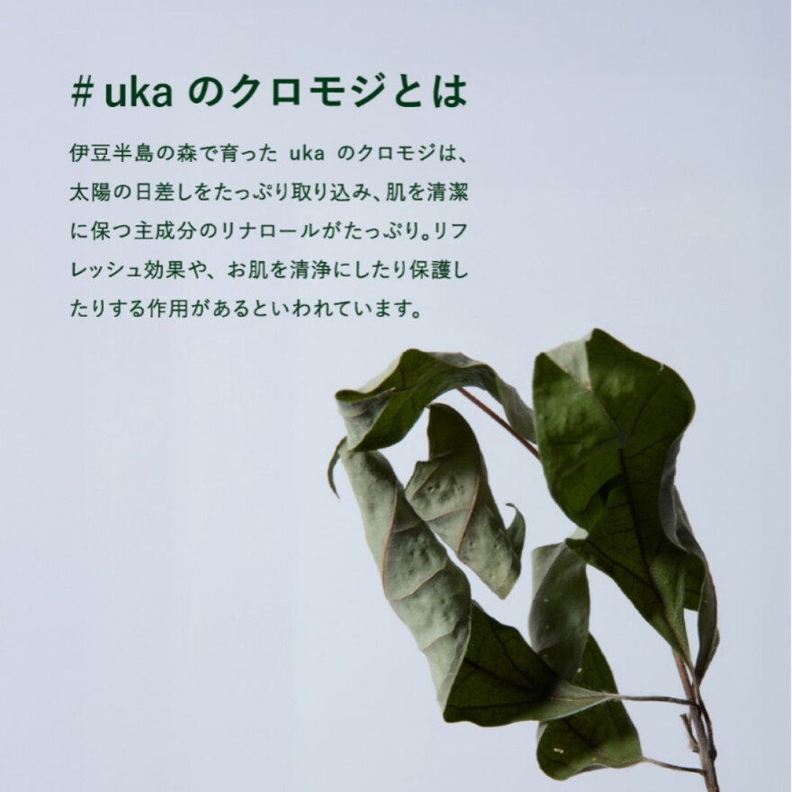 お得なクロモジミストセット販売開始！