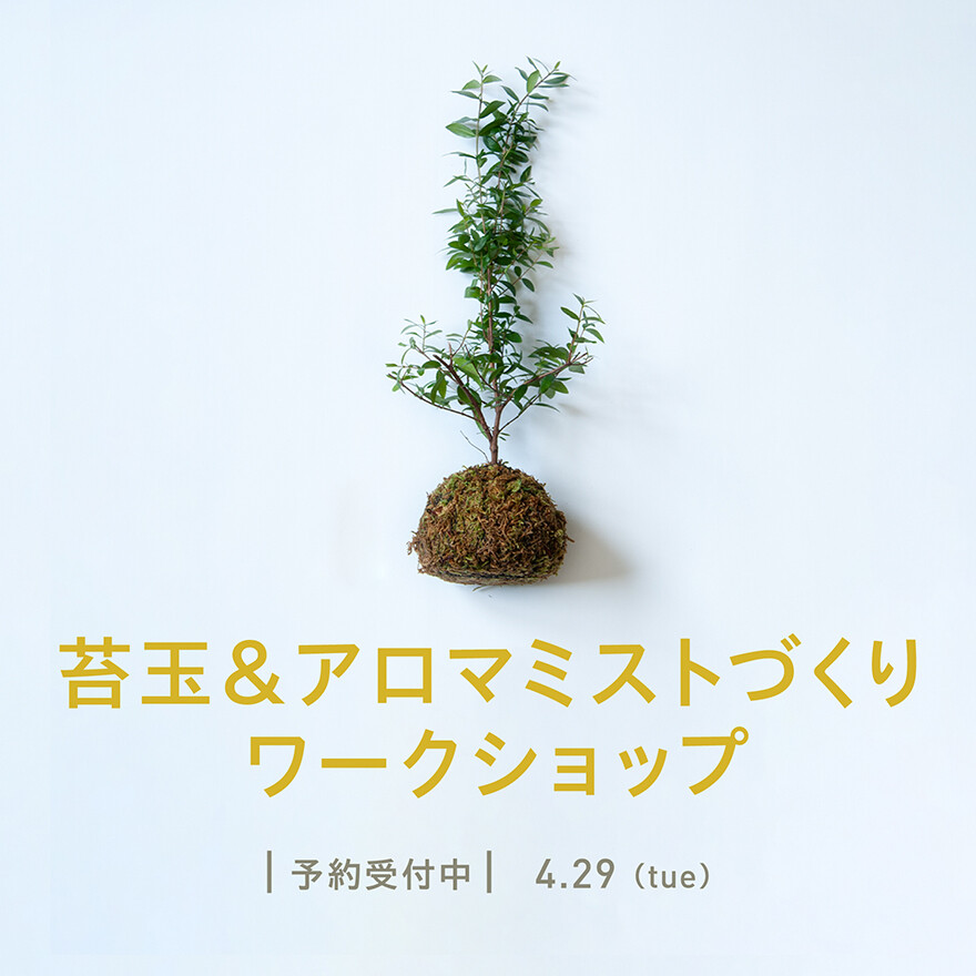 【4/29開催】苔玉＆アロマミストづくり体験