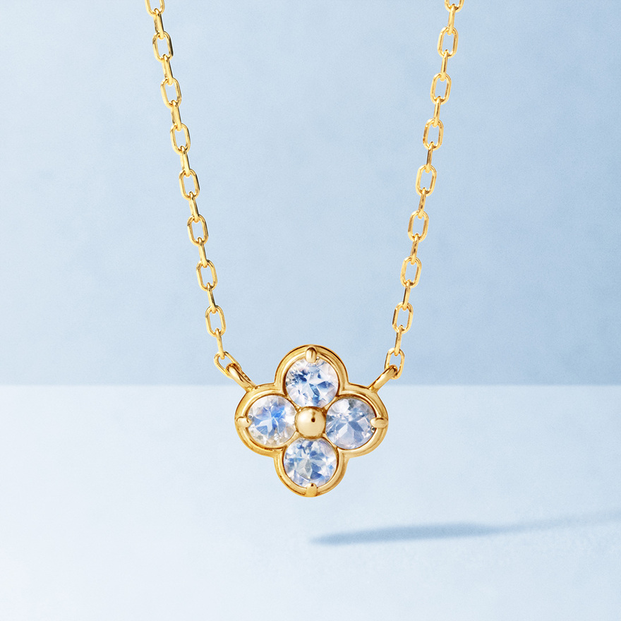 【BIZOUX】リニューアルアナイス発売