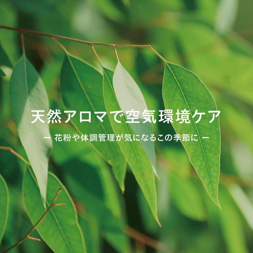 【花粉症ケアに！】トドマツブレンド