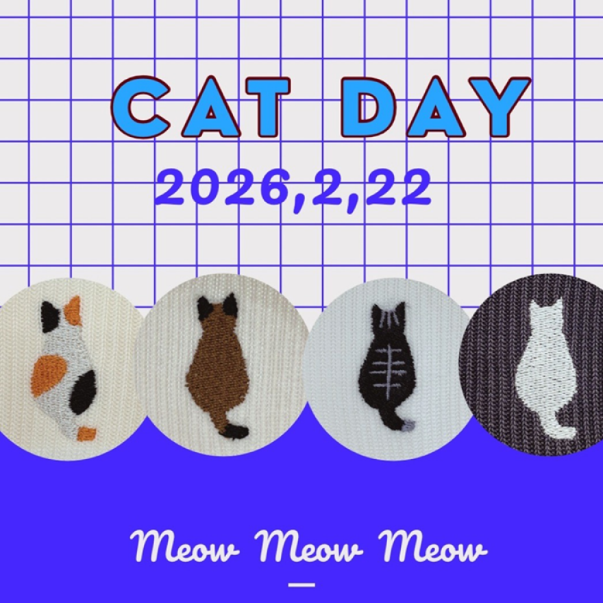 【ニャンニャンニャンの日】NEWoMan横浜店限定猫ソックス