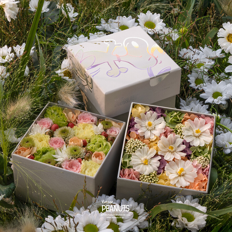 Nicolai Bergmann meets PEANUTS.