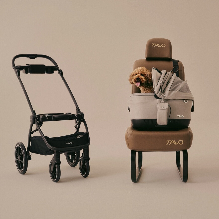 TAVO試乗会キャンペーン実施中