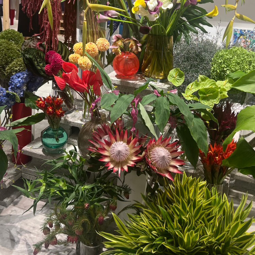 logi plants&flowers POP UP STORE