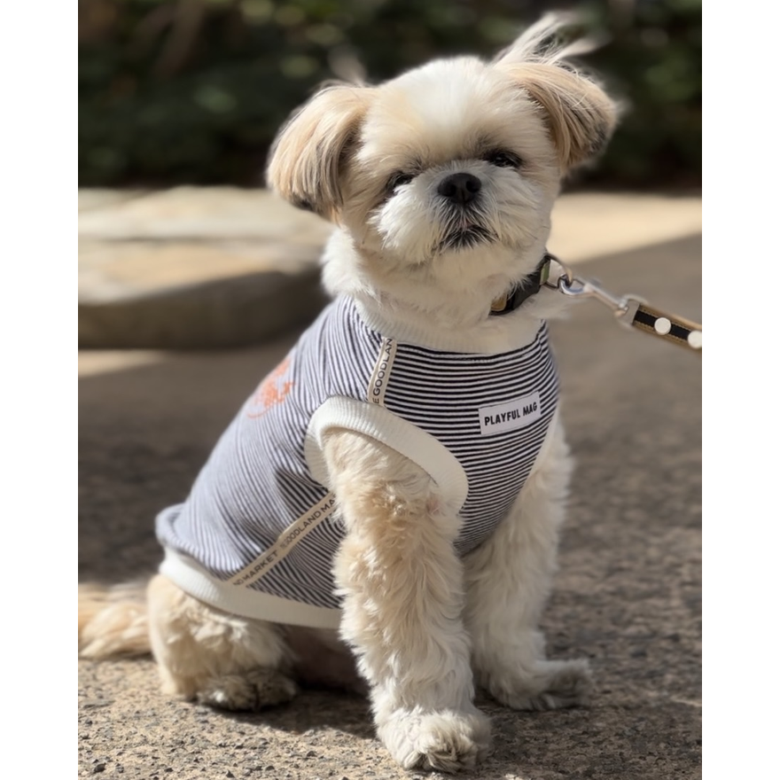 人からわんちゃんへ繋ぐアパレル「PLAYFUL MAG」のPOPUPを開催!