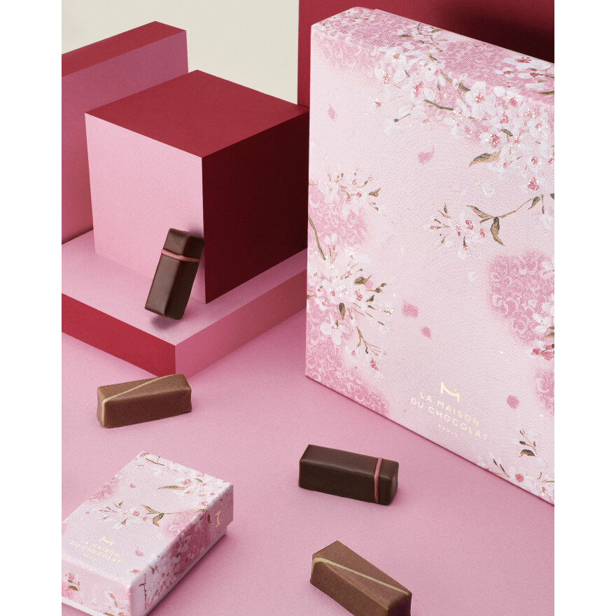 スプリングコレクション2026