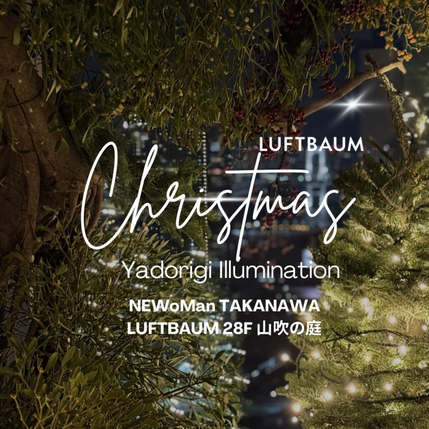 LUFTBAUM CHRISTMAS Yadorigi Illumination