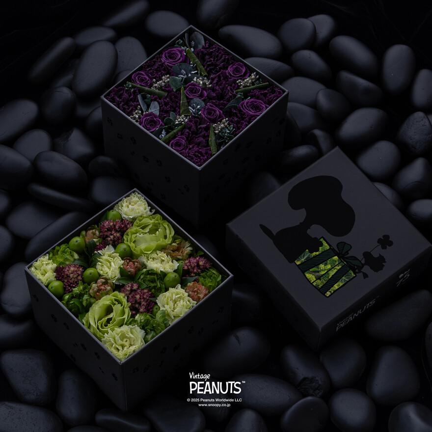 Nicolai Bergmann meets PEANUTS.