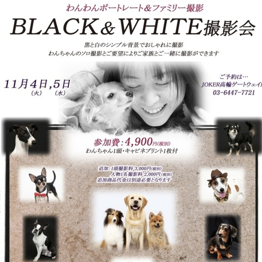 ペットの写真撮影会開催