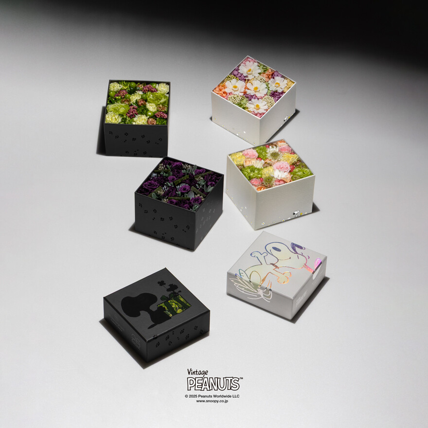 Nicolai Bergmann meets PEANUTS.