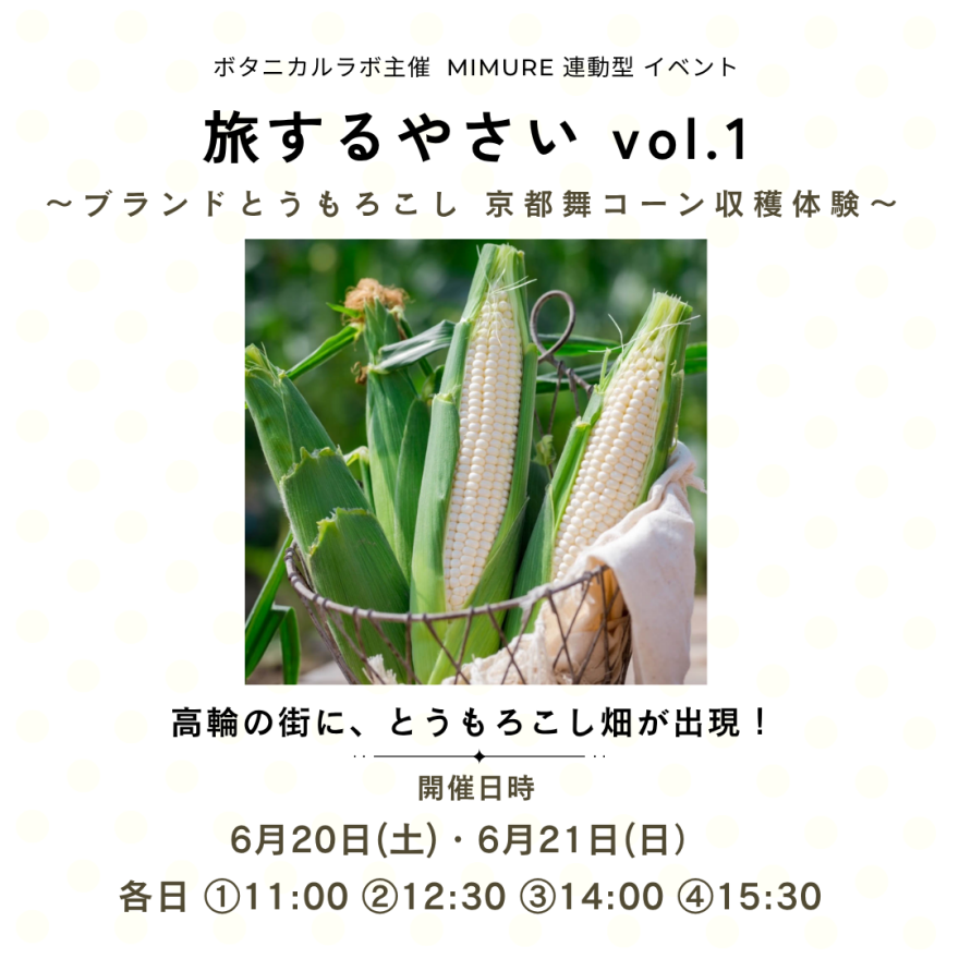 旅するやさい vol.1 〜ブランドとうもろこし 京都舞コーン収穫体験〜