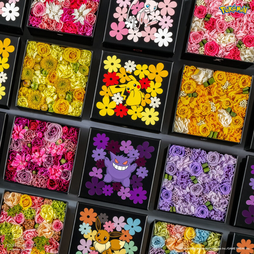 Nicolai Bergmann × Pokémon