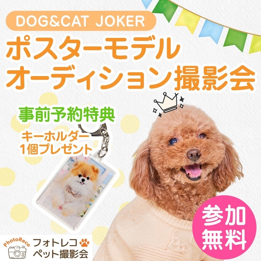 ポスターモデルオーディション撮影会開催