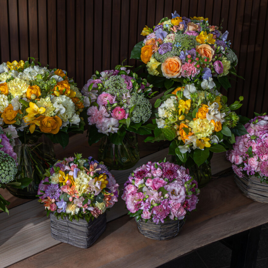 スプリングコレクション2026