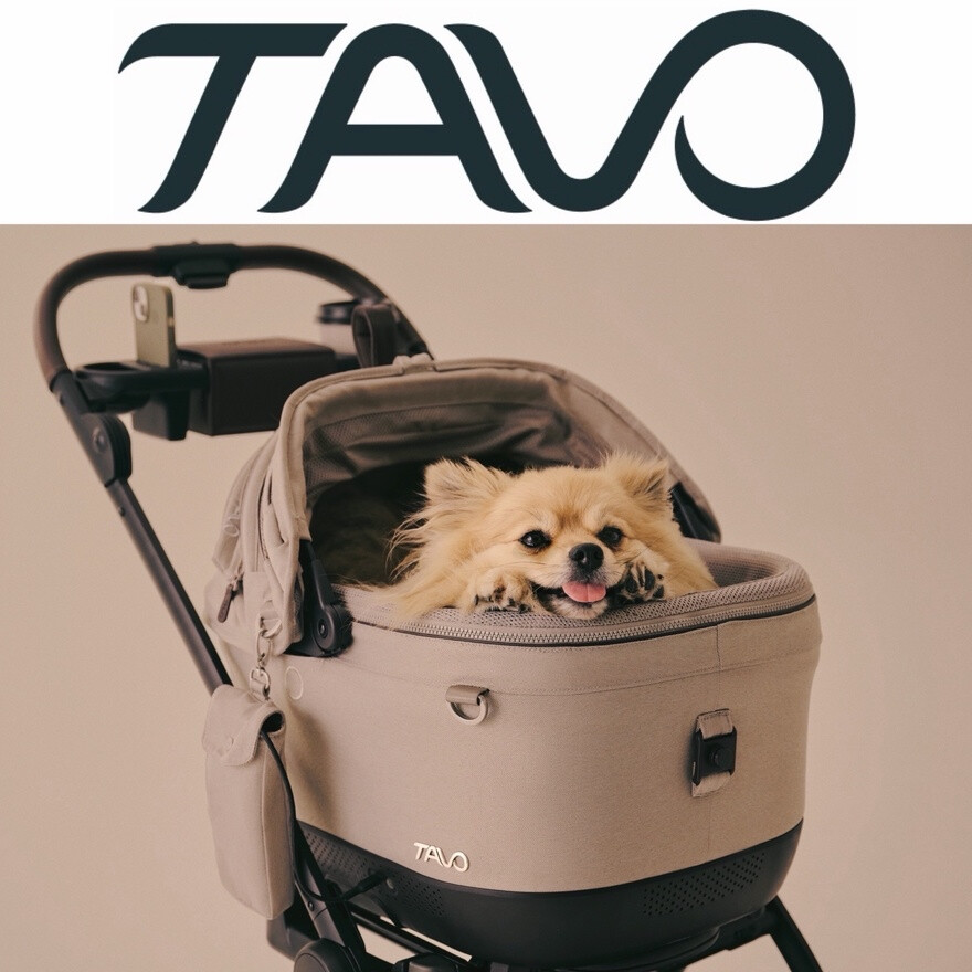 TAVO試乗会キャンペーン実施中