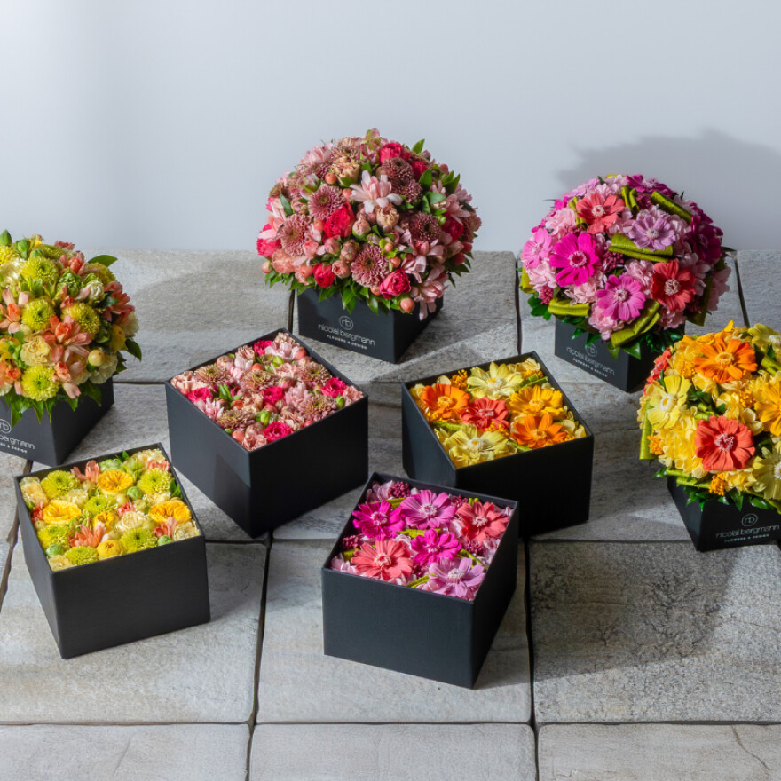 スプリングコレクション2026