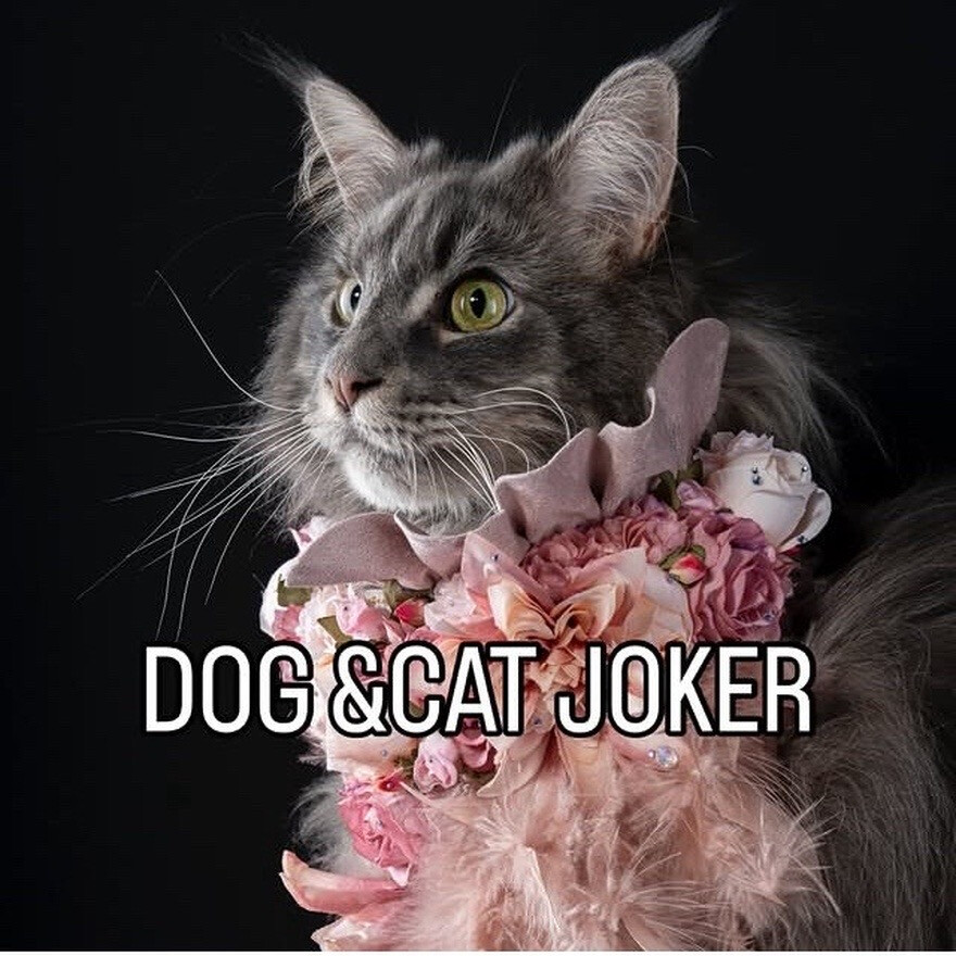 ペットのアート写真撮影会「Love Dog Photo session 」開催