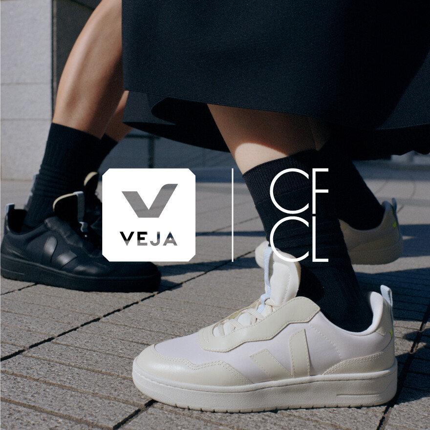 VEJA Collaboration