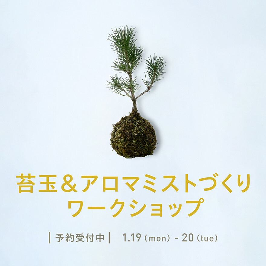 苔玉づくりワークショップ