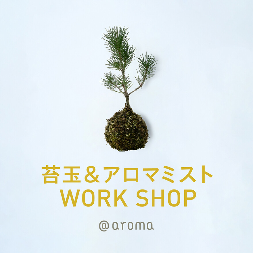 \ 苔玉&アロマミスト WORK SHOP /