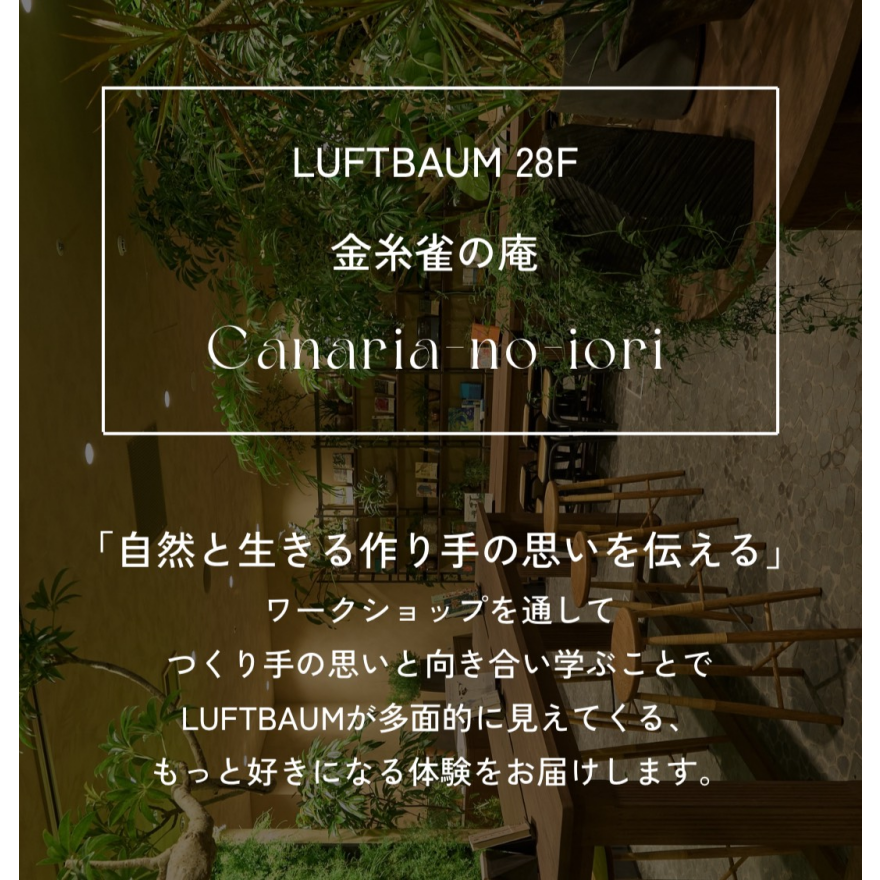 LUFBAUM “金糸雀の庵”